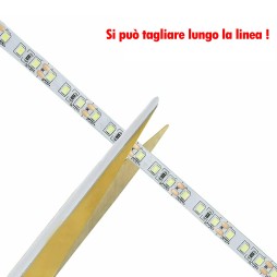 Striscia led 5 metri 12v strip 600 led SMD 2835 IP20 flessibile alta luminosità